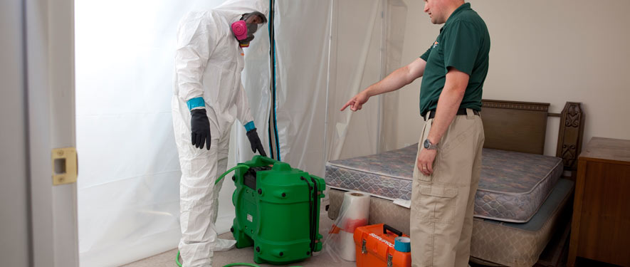 Saint Andrews, SC mold removal process