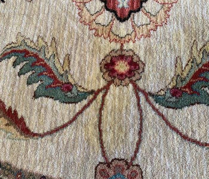 An oriental rug has pet urine stains