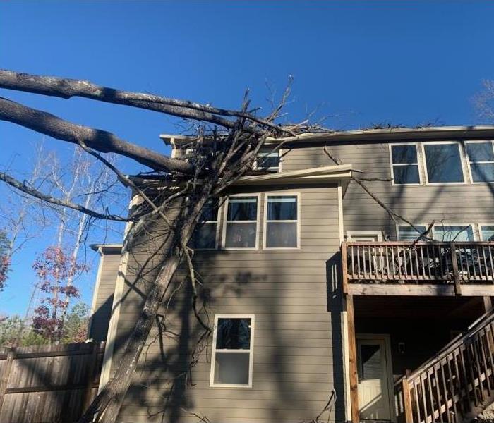 A tree has fallen on the roof of a home