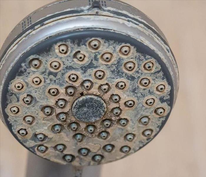 A showerhead covered in buildup