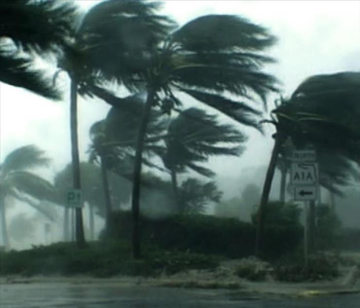 Palm trees blow and bend as major winds and rainfall hit the NC coast